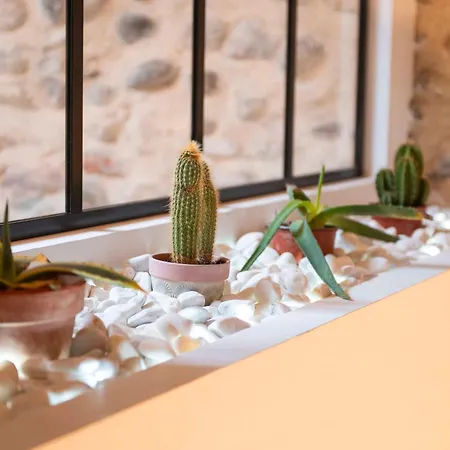 Triplex Chic Au Coeur De * 발랑스